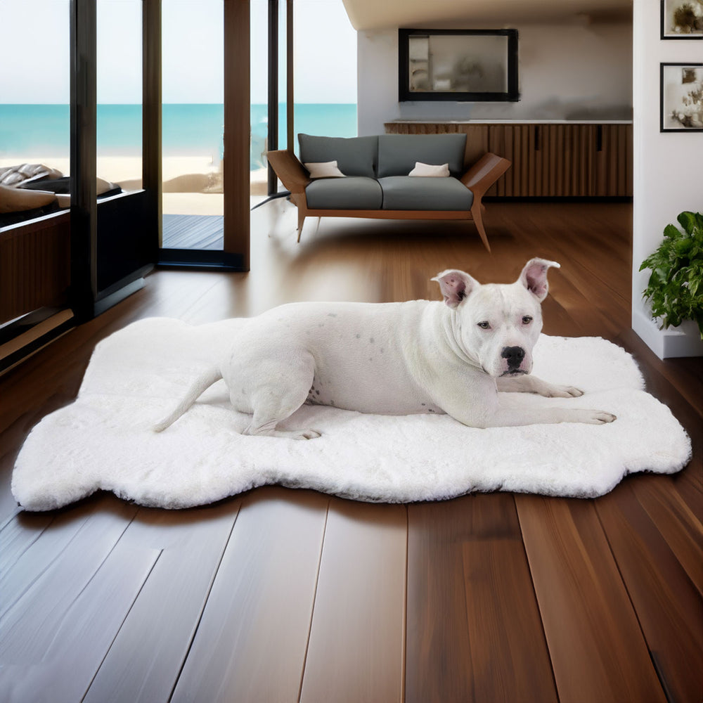 Ruby Puff® Ortho Companion-Pedic® Luxury Dog Bed Rug - Animals Matter, Inc.