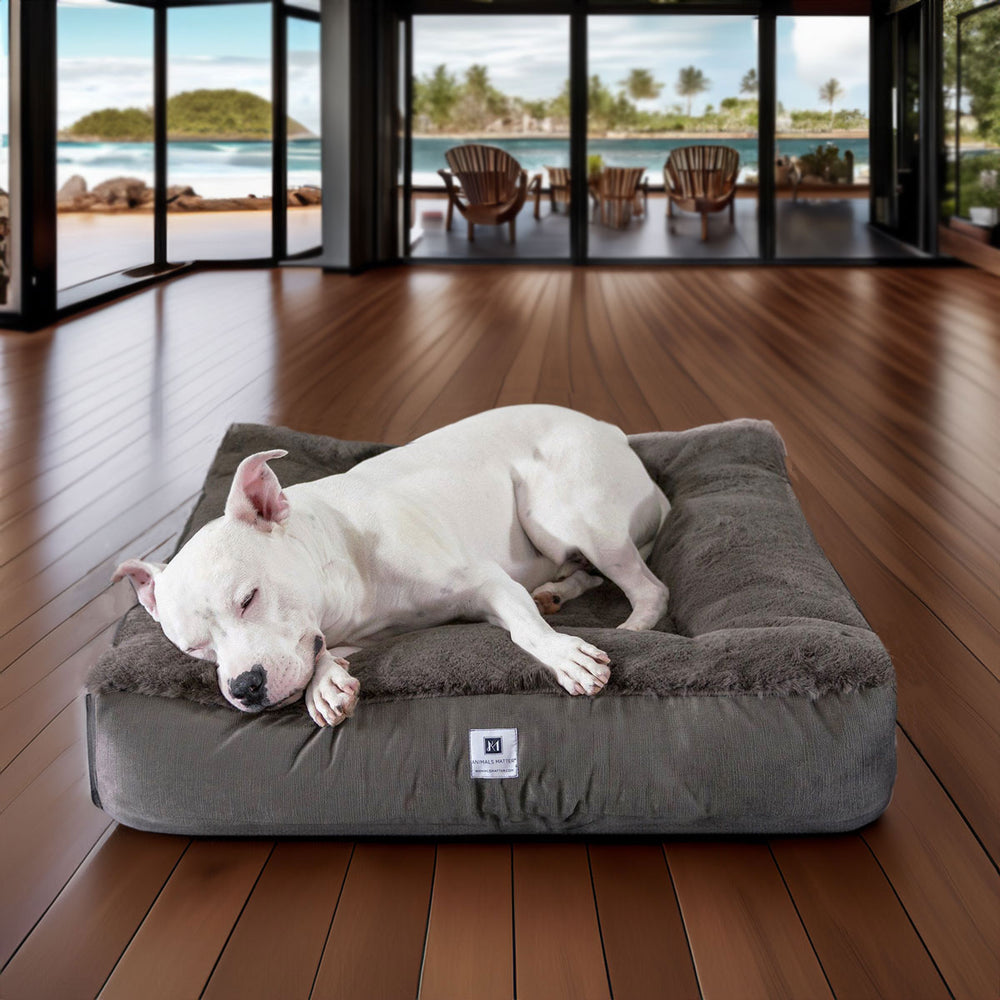 Ruby Puff® Square Ortho Companion-Pedic® Luxury Faux Fur Dog Bed - Animals Matter, Inc.