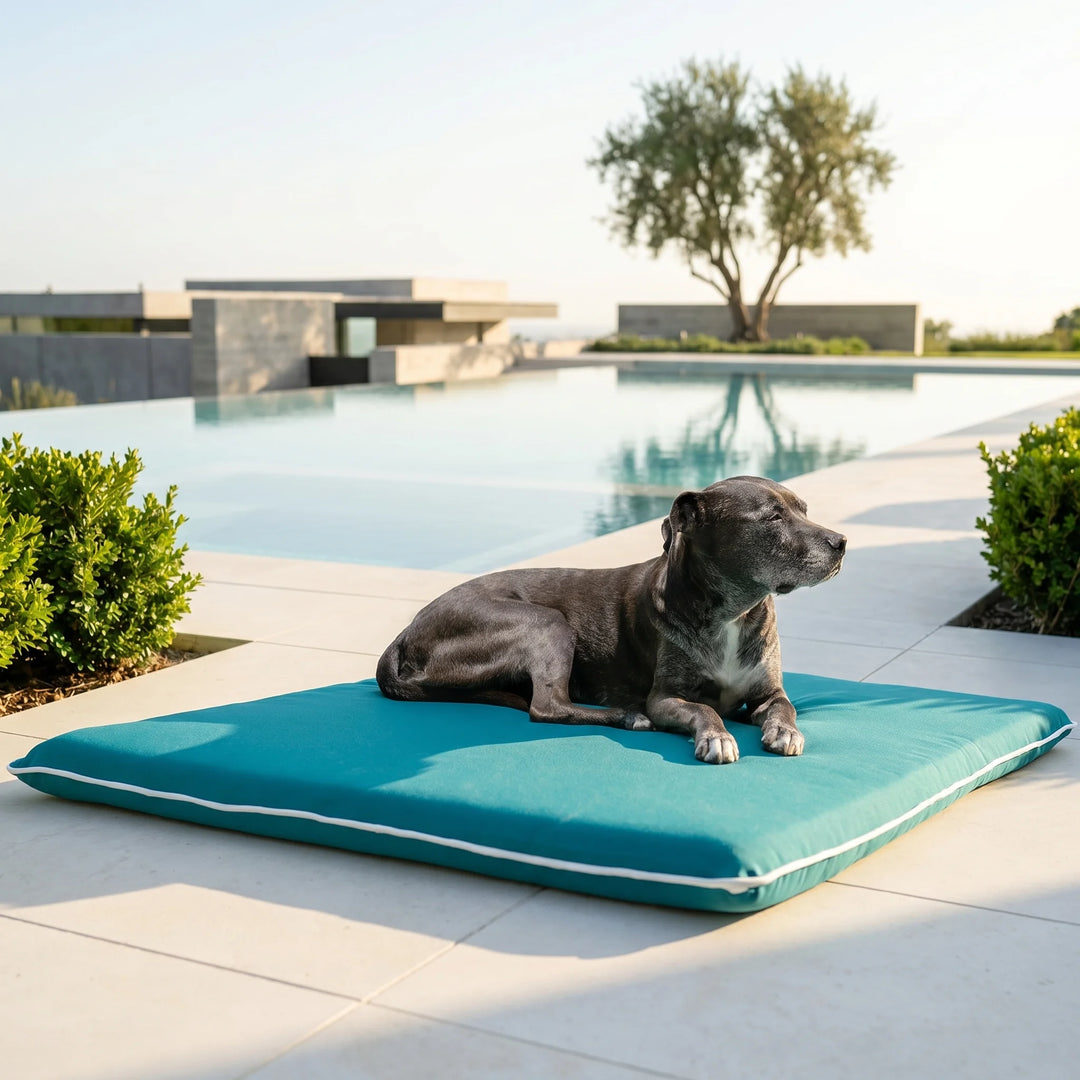 Dog lying on a teal pet bed by a poolside