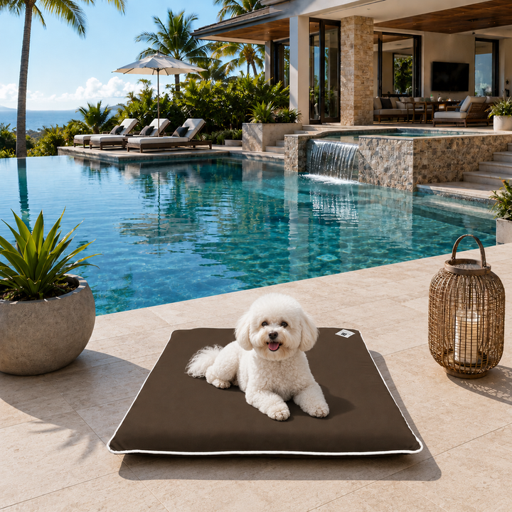 Animals Matter Raine Outdoor Companion-Pedic Futon luxury outdoor dog bed in chocolate, featuring a white dog resting poolside on a tiled patio.