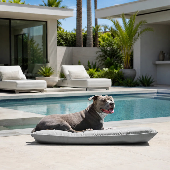 Animals Matter Raine Outdoor Futon Luxura-Fill Gray luxury outdoor dog bed poolside, featuring a gray dog resting on a gray futon cushion.