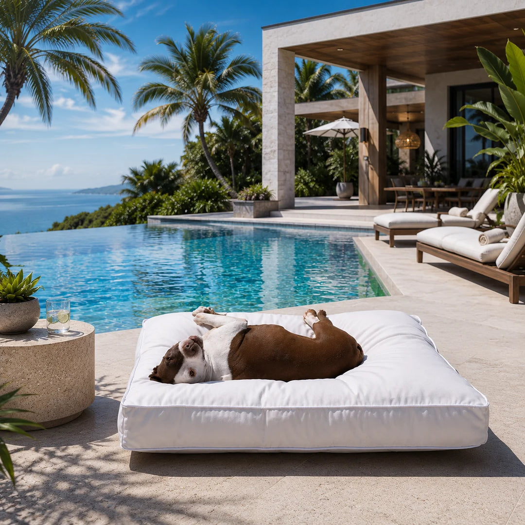 Animals Matter Raine Outdoor Pillow Luxura-Fill luxury outdoor dog bed in white at a tropical infinity pool, featuring a Companion relaxing seaside.