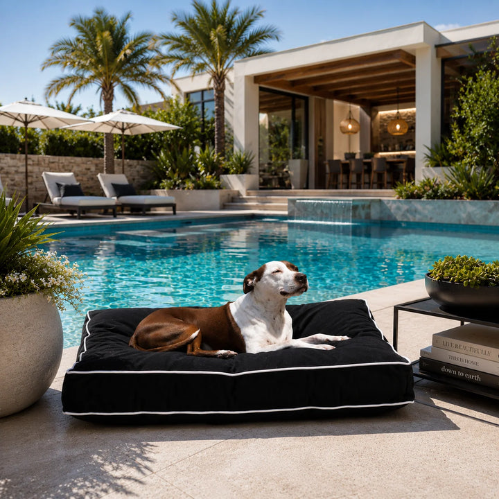 Animals Matter Raine Outdoor Pillow Luxura-Fill luxury outdoor dog bed in black beside a modern pool, featuring a Companion relaxing outdoors.