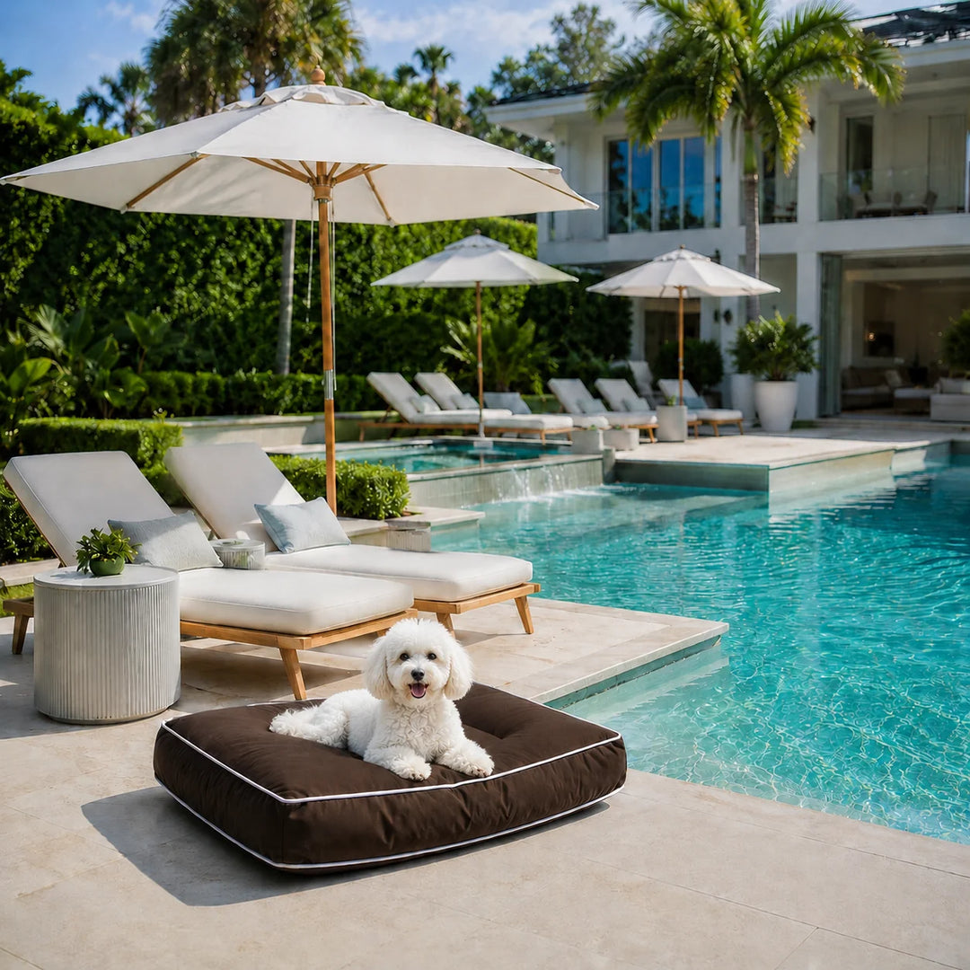 Animals Matter Raine Outdoor Pillow Luxura-Fill luxury outdoor dog bed in chocolate beside a resort-style pool, featuring a Companion relaxing outdoors.