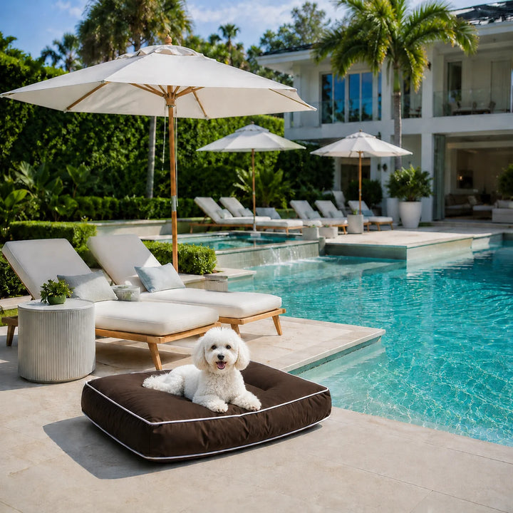 Animals Matter Raine Outdoor Pillow Luxura-Fill luxury outdoor dog bed in chocolate beside a resort-style pool, featuring a Companion relaxing outdoors.