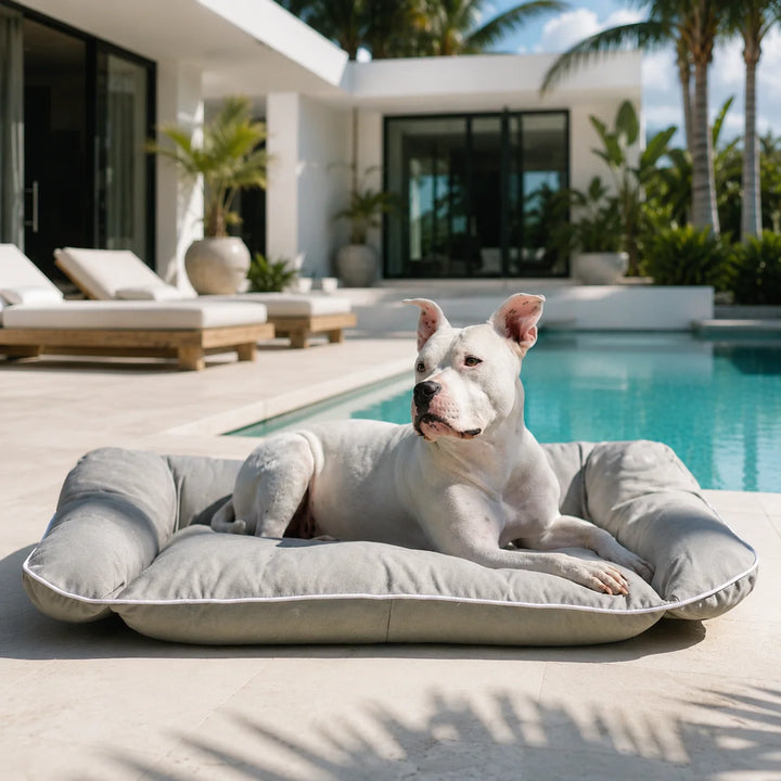Animals Matter Raine Outdoor Sydney Companion-Pedic Luxury Dog Bed Gray luxury outdoor dog bed poolside, featuring a white dog on a gray bolster bed.
