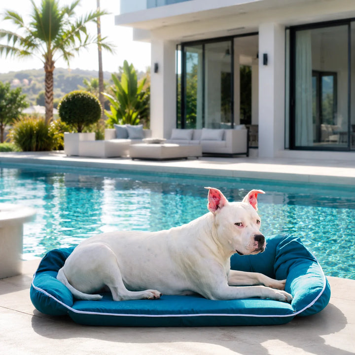 Animals Matter Raine Outdoor Sydney Companion-Pedic Luxury Dog Bed Teal luxury outdoor dog bed poolside, featuring a white dog on a teal bed.