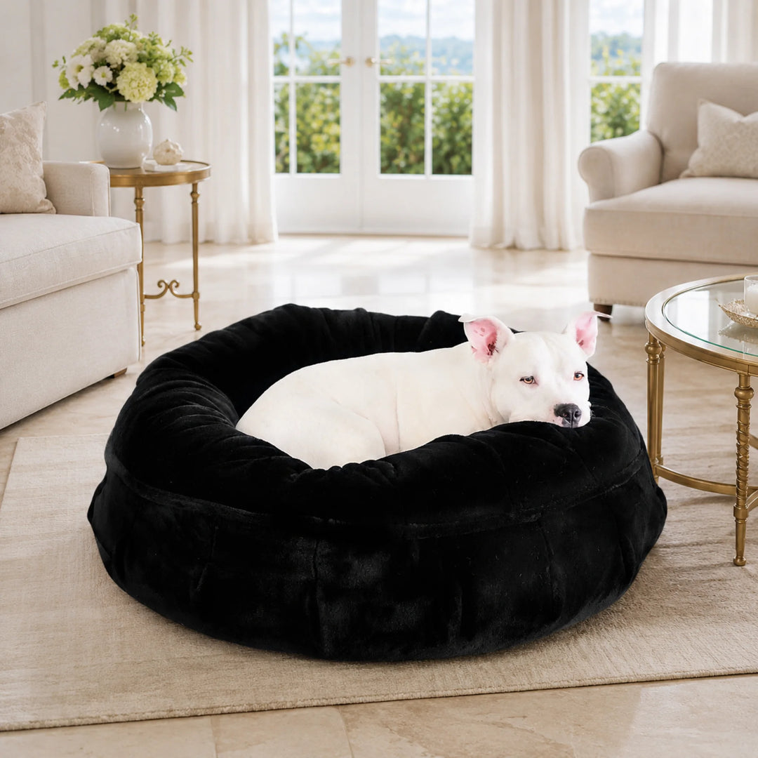 Animals Matter Raine Ortho Puff in Ebony, a luxury orthopedic dog bed featuring a white Companion resting in an elegant living room.