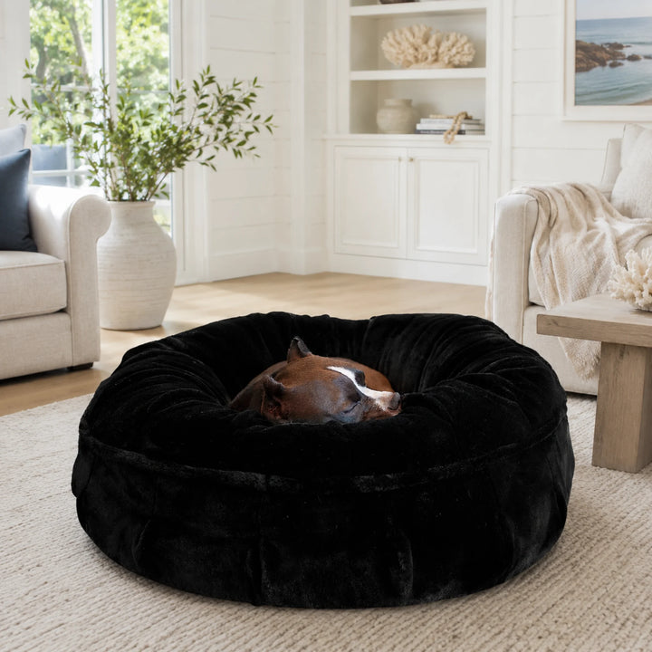 Animals Matter Raine Ortho Puff in Ebony, a luxury orthopedic dog bed featuring a brown and white Companion sleeping in a bright living room.