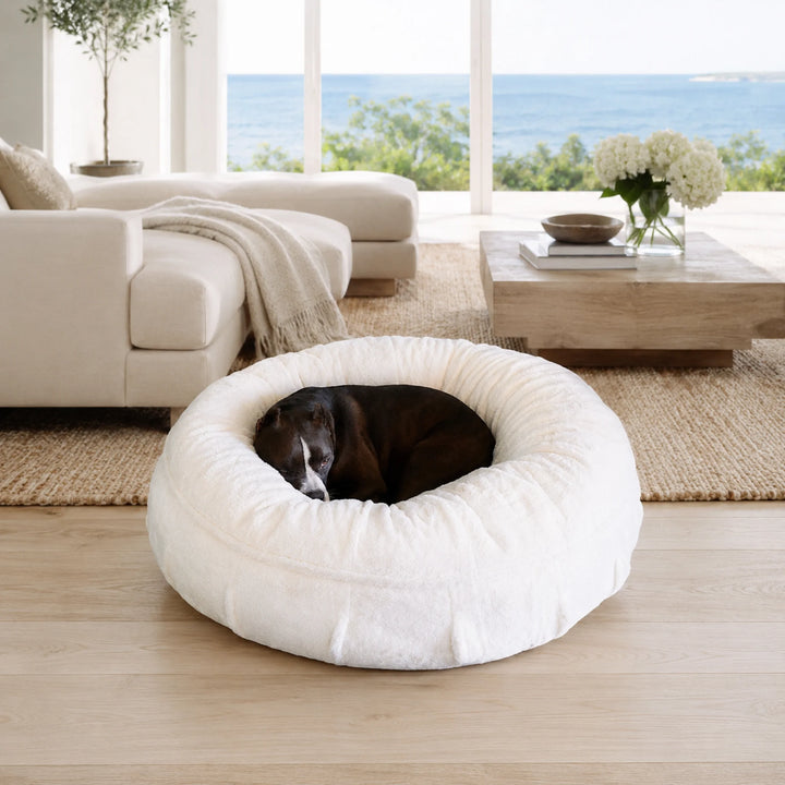 Animals Matter Raine Ortho Puff in Ivory, a luxury orthopedic dog bed featuring a Companion curled up in an oceanfront living room.