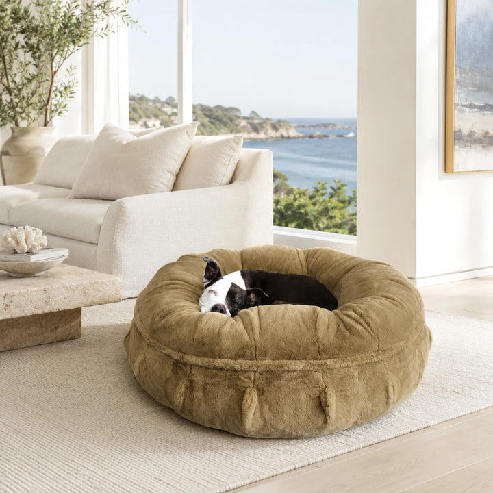Animals Matter Raine Ortho Puff in Latte, a luxury orthopedic dog bed featuring a black and white Companion sleeping in an ocean-view room.
