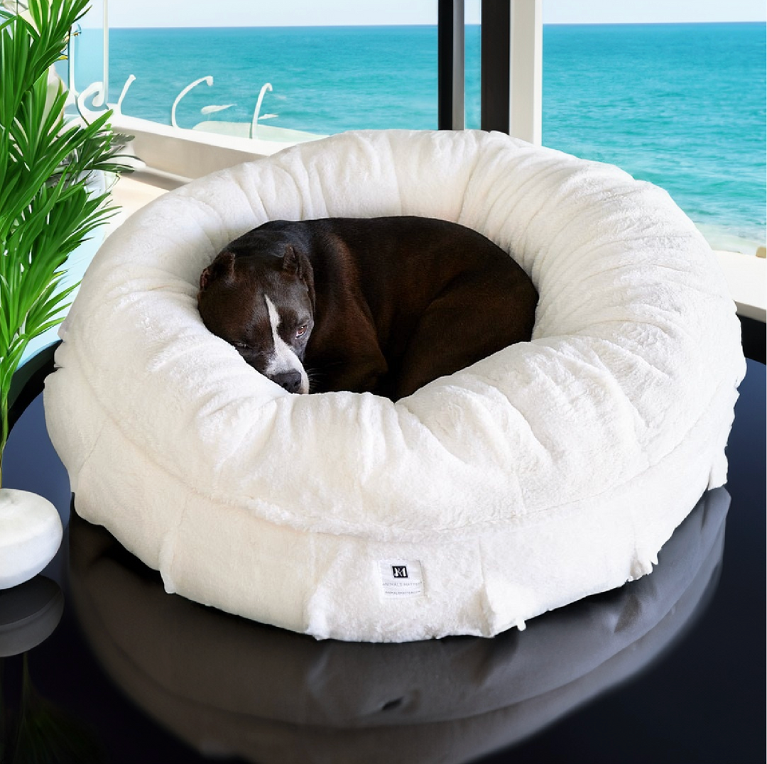 Raine Puff Companion Pedic Luxury Dog Bed