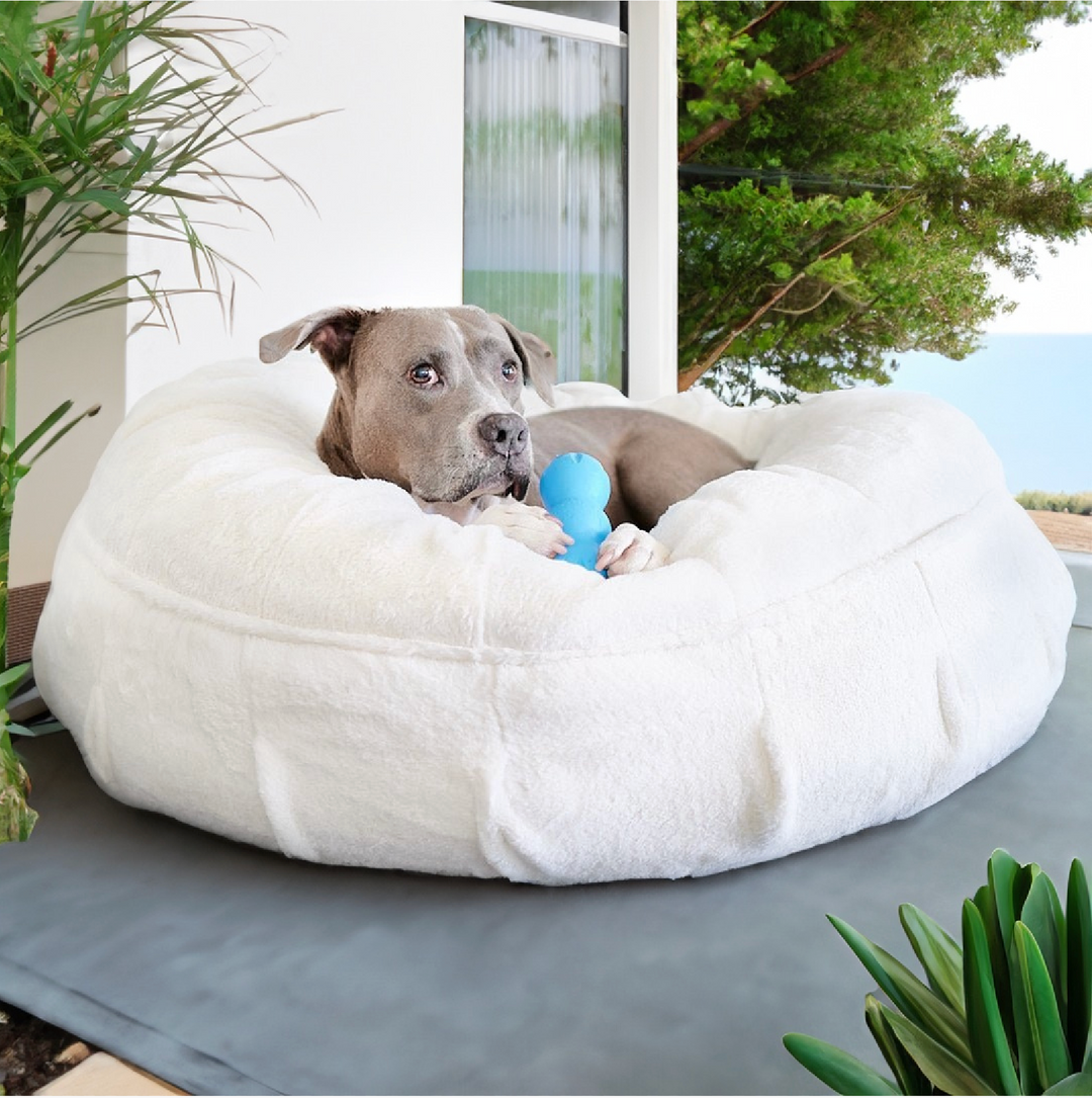 NEW: Raine Puff™ Companion-Pedic® Luxury Dog Bed - Animals Matter, Inc.