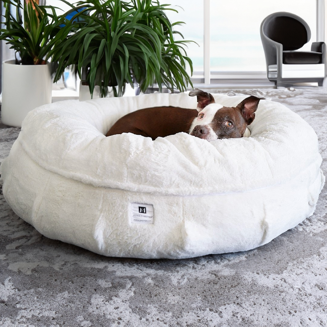 Animals Matter Raine Puff Companion Pedic Luxury Dog Bed XL Ivory Premium Pet Supplies for Dogs Puppies