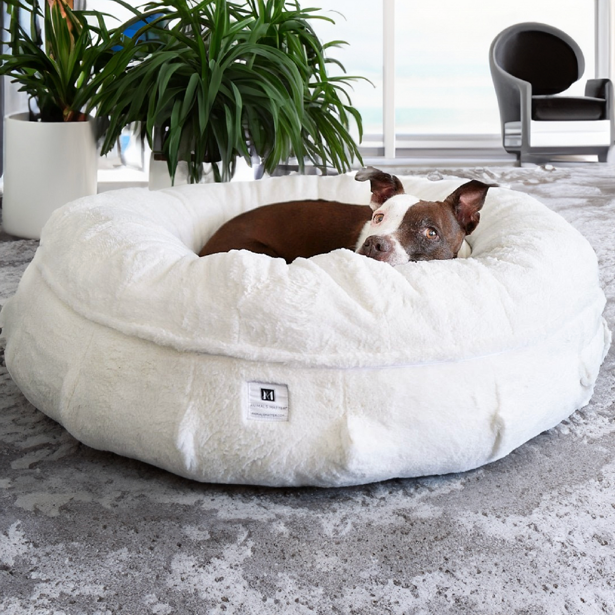 Dog bag bed best sale