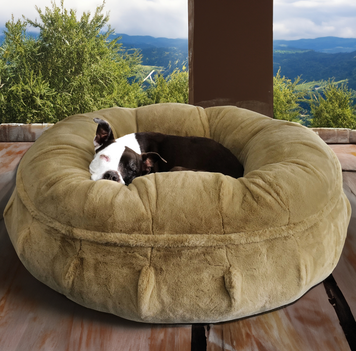 Animals Matter Raine Puff Calming luxury Dog Bed with Ruby Napping inside. This is the Latte Color.