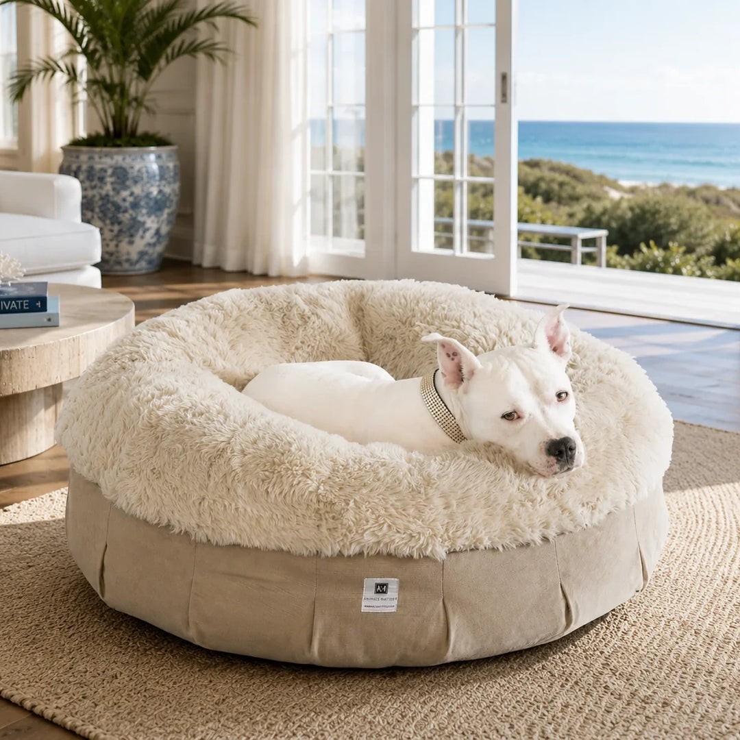 Animals Matter Roxy Ortho Puff luxury orthopedic dog bed in a Hamptons coastal living room, featuring a white Companion on plush cream faux fur.