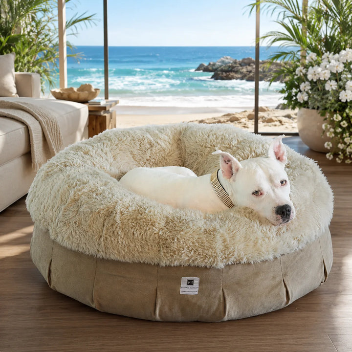 Animals Matter Roxy Ortho Puff luxury orthopedic dog bed in a Hamptons coastal living room, featuring a white Companion on plush cream faux fur.