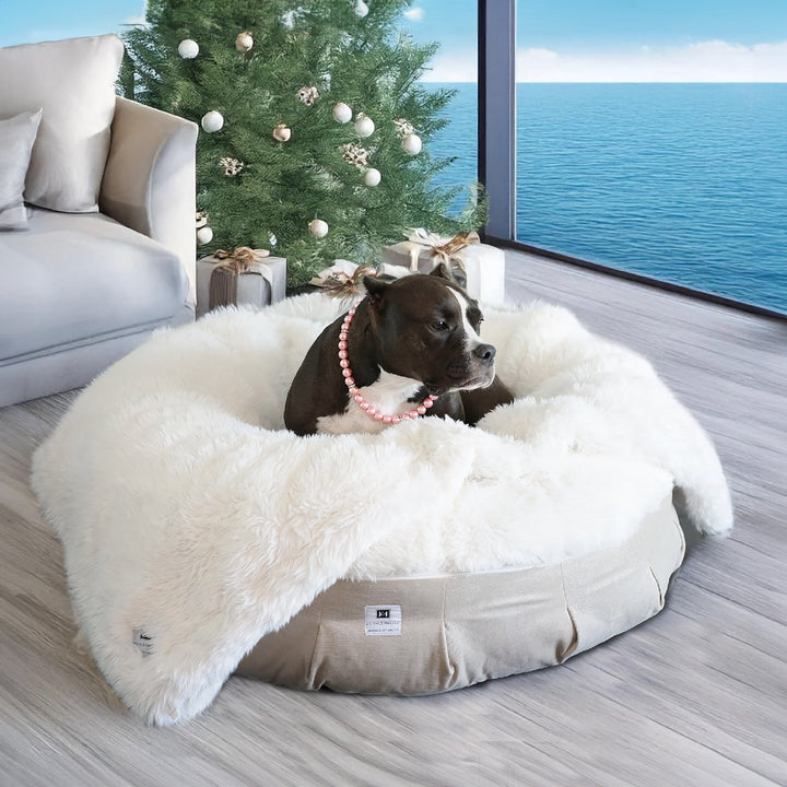 Animals Matter Roxy Ortho Puff Winter Companion-Pedic Luxury Dog Bed