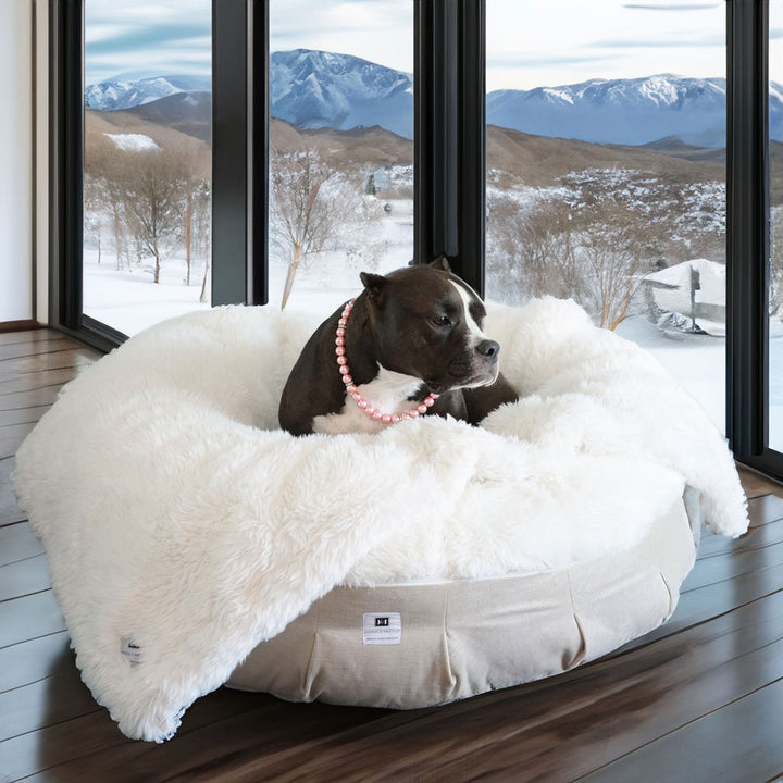 Animals Matter Roxy Ortho Puff Winter Companion-Pedic Luxury Dog Bed