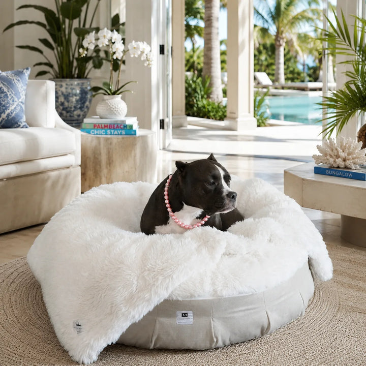 Black and white dog wearing a pink pearl collar lounging in a plush white faux fur luxury dog bed in a bright tropical coastal living room.