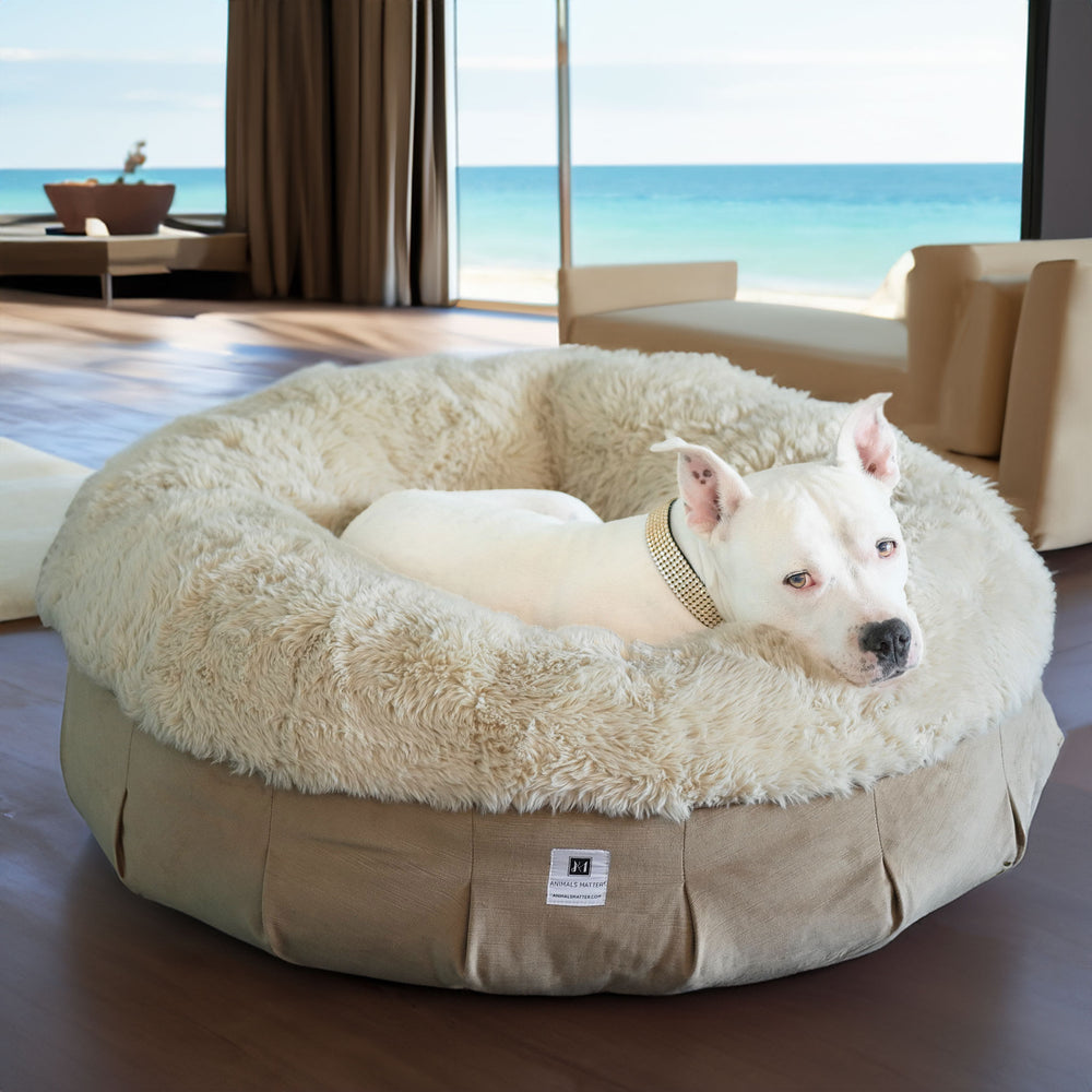 Animals Matter Roxy Puff Ortho Companion-Pedic Luxury Dog Bed in Beach