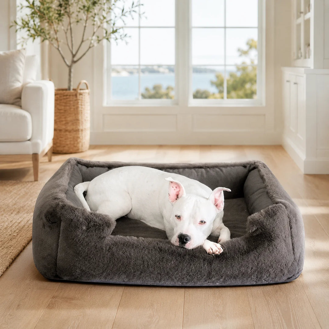 Animals Matter Ruby Puff® Ortho Lounger Companion-Pedic® Luxury Dog Bed in a bright Hamptons coastal living room, with a white Companion on charcoal faux fur.