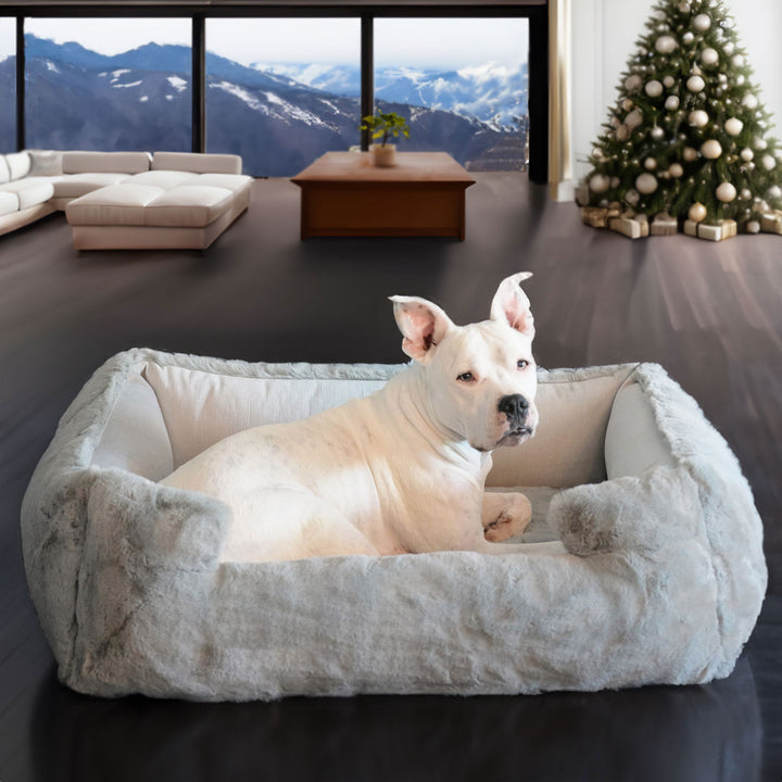 NEW: Ruby Puff® Ortho Lounger Companion-Pedic® Luxury Dog Bed - Animals Matter, Inc.
