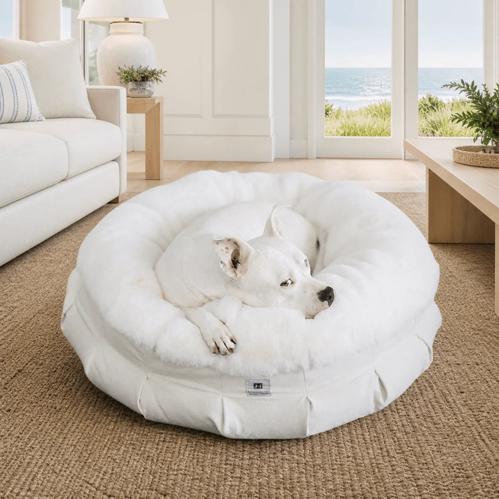 White pit bull curled up in the plush ivory Ruby Ortho Puff orthopedic dog bed inside a coastal Hamptons living room with ocean views and natural light