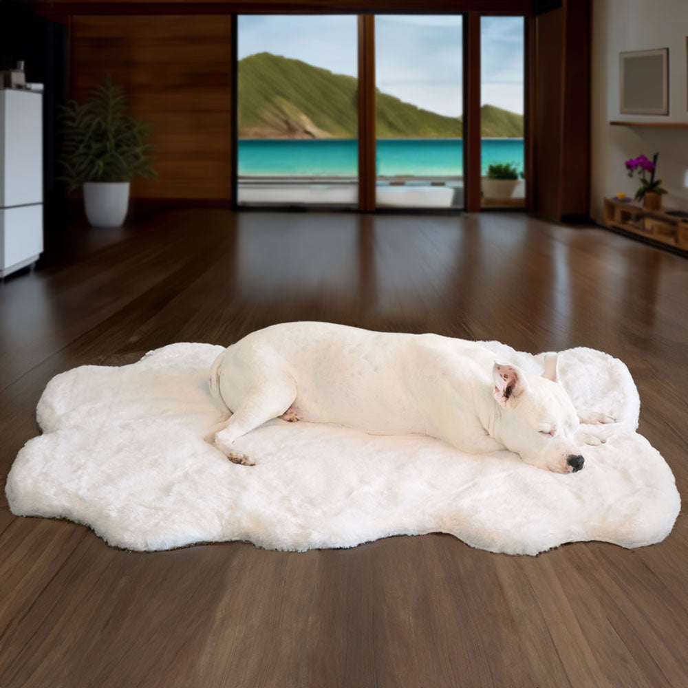 A picture of the Ruby Puff® Ortho Companion-Pedic® Luxury Dog Bed Rug - Animals Matter, Inc. in ivory inside a luxury home 
