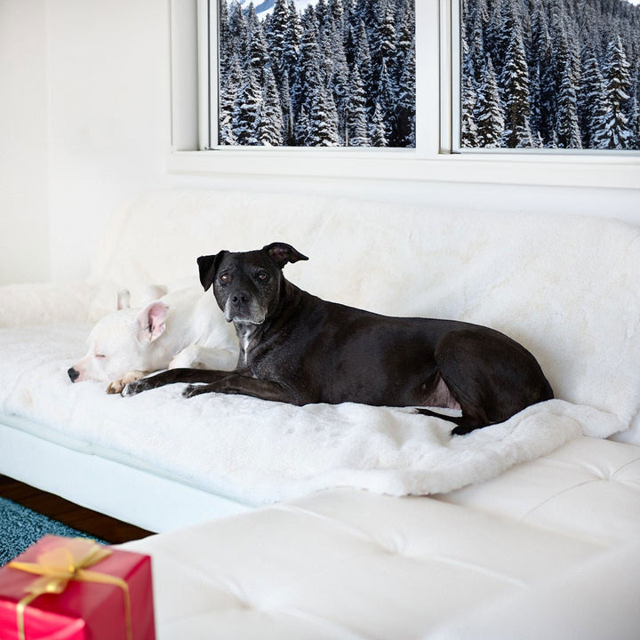 Ruby Puff® Luxury Dog Blanket