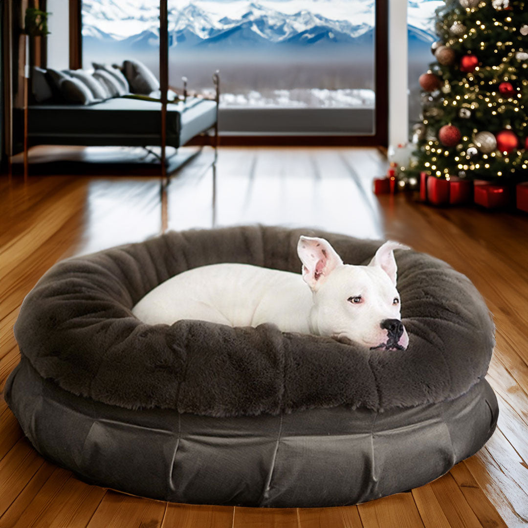 Ruby Puff® Ortho Companion-Pedic® Luxury Dog Bed - Animals Matter, Inc.
