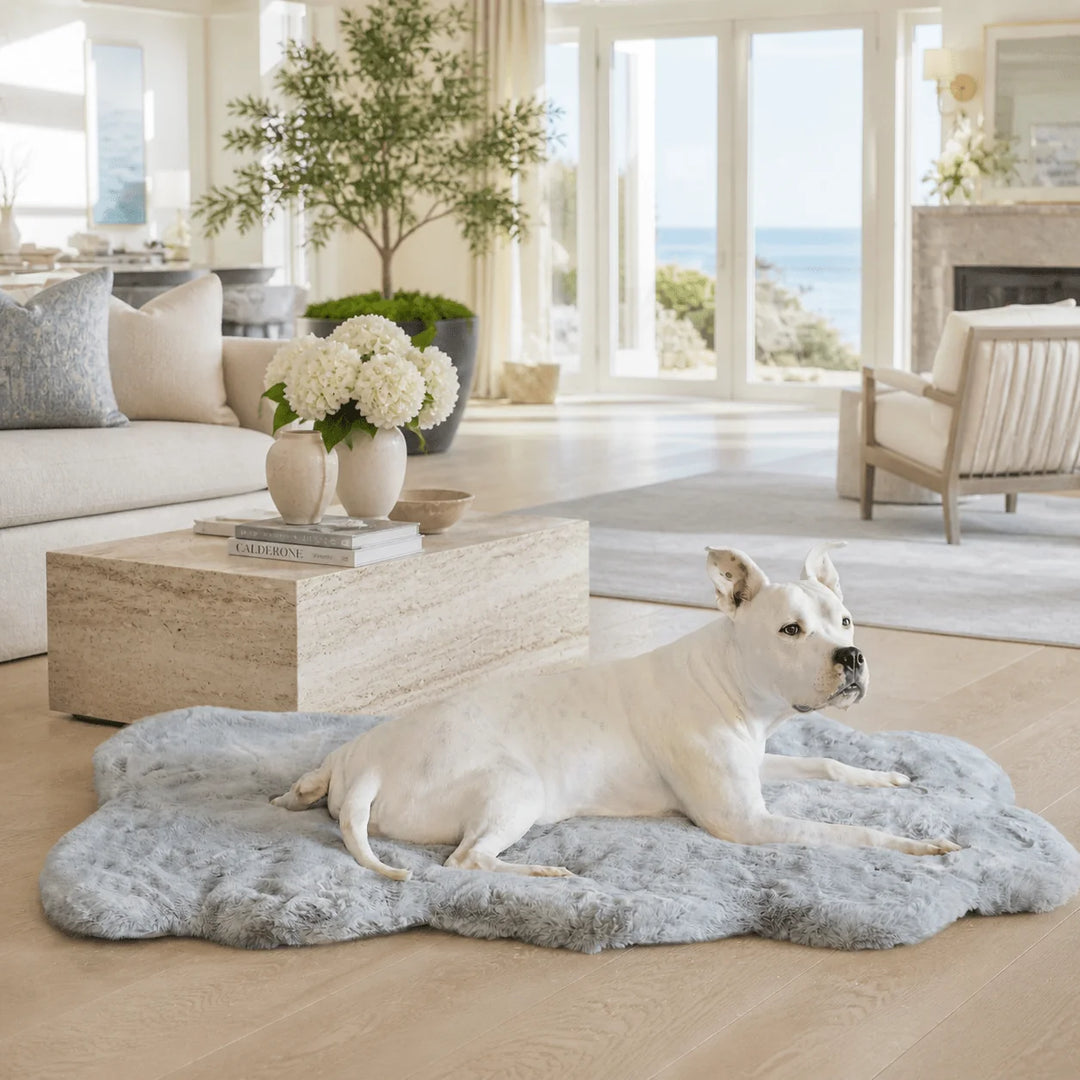 White pit bull lounging on the plush light gray Ruby Puff Ortho Dog Bed Rug in a coastal Hamptons living room with ocean views and hydrangeas