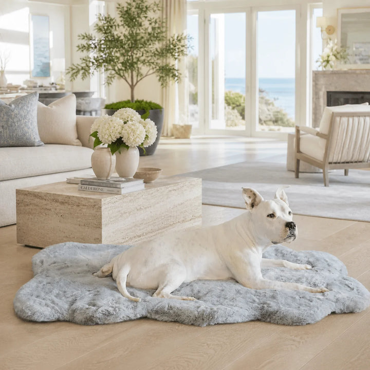 White pit bull lounging on the plush light gray Ruby Puff Ortho Dog Bed Rug in a coastal Hamptons living room with ocean views and hydrangeas