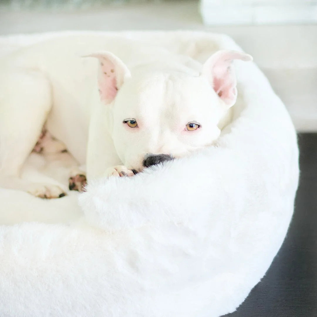 White pit bull puppy nestled into the plush ivory faux fur Ruby Puff Ortho Lounger orthopedic dog bed for cozy calming comfort