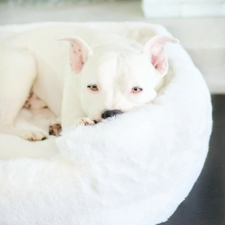 White pit bull puppy nestled into the plush ivory faux fur Ruby Puff Ortho Lounger orthopedic dog bed for cozy calming comfort