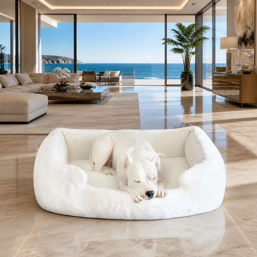 Animals Matter Ruby Ortho Puff Lounger Companion Pedic Luxury Dog Bed in an oceanfront living room, featuring a white Companion on an ivory faux fur orthopedic lounger.