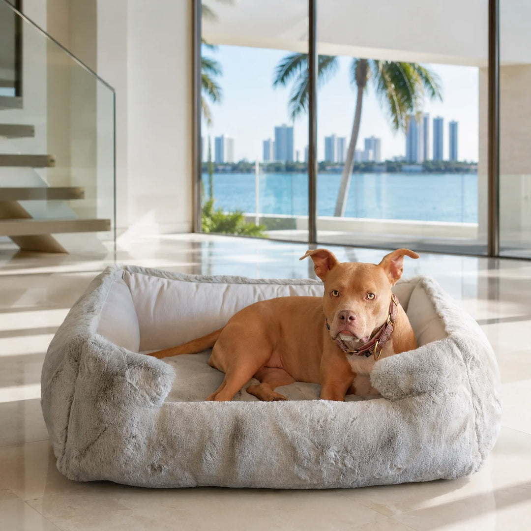 Animals Matter Ruby Puff Ortho Lounger Companion Pedic Luxury Dog Bed in a Miami waterfront home, featuring a tan Companion on a plush faux fur orthopedic lounger.