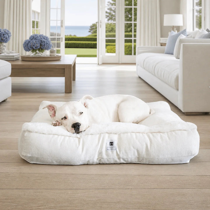 White pit bull napping on the plush ivory Ruby Puff Ortho Square orthopedic dog bed in a coastal luxury living room with hydrangeas and ocean view