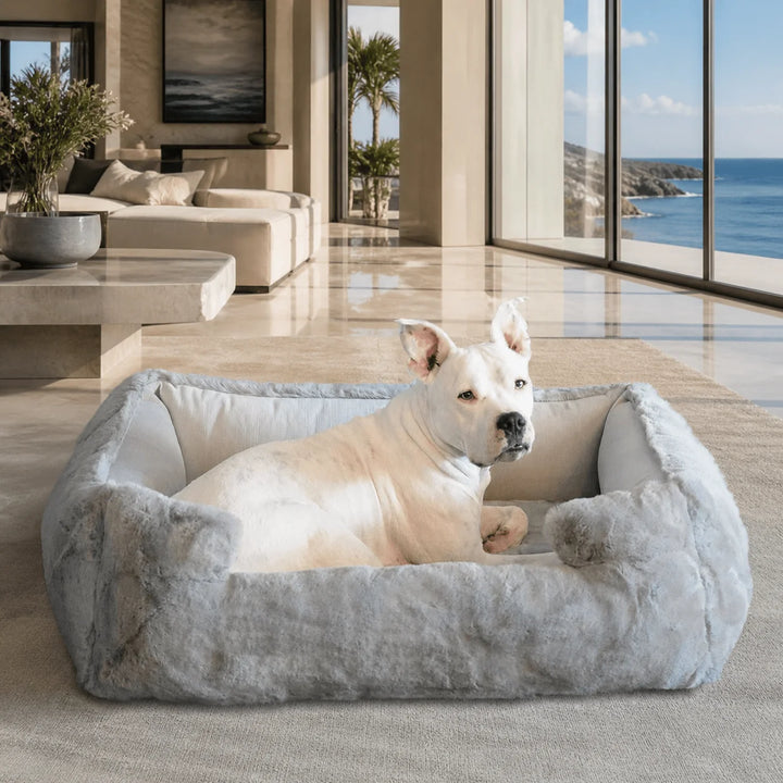 Animals Matter Ruby Puff® Ortho Lounger Companion-Pedic® Luxury Dog Bed in Gray, a luxury orthopedic dog bed in an oceanfront luxury living room with a white Companion.