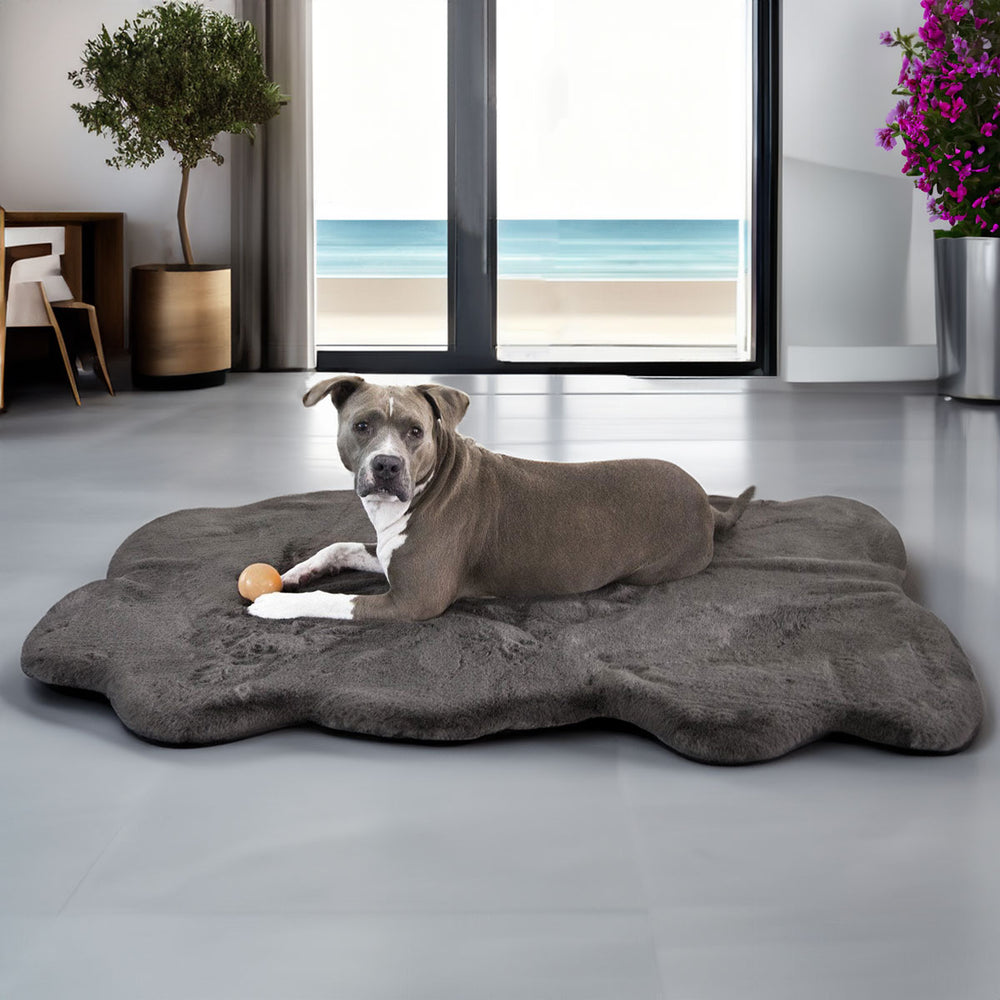 Ruby Puff® Ortho Companion-Pedic® Luxury Dog Bed Rug - Animals Matter, Inc.