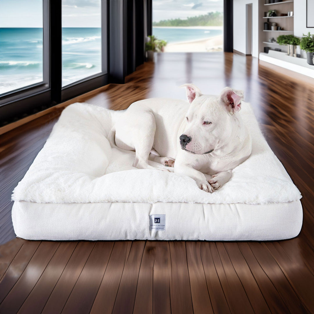 Ruby Puff® Square Ortho Companion-Pedic® Luxury Faux Fur Dog Bed - Animals Matter, Inc.