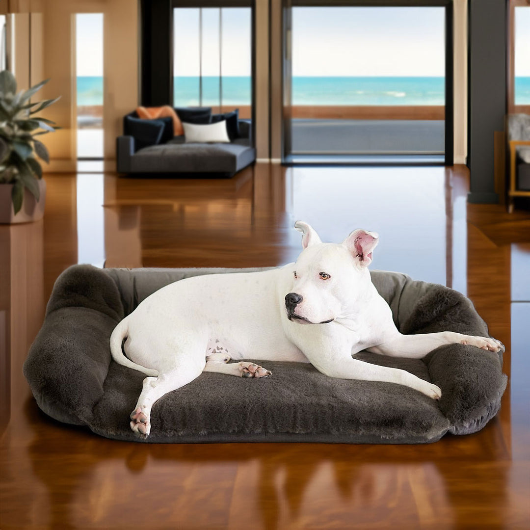 Ruby Puff® Ortho Companion-Pedic® Luxury Dog Bed - Animals Matter, Inc.