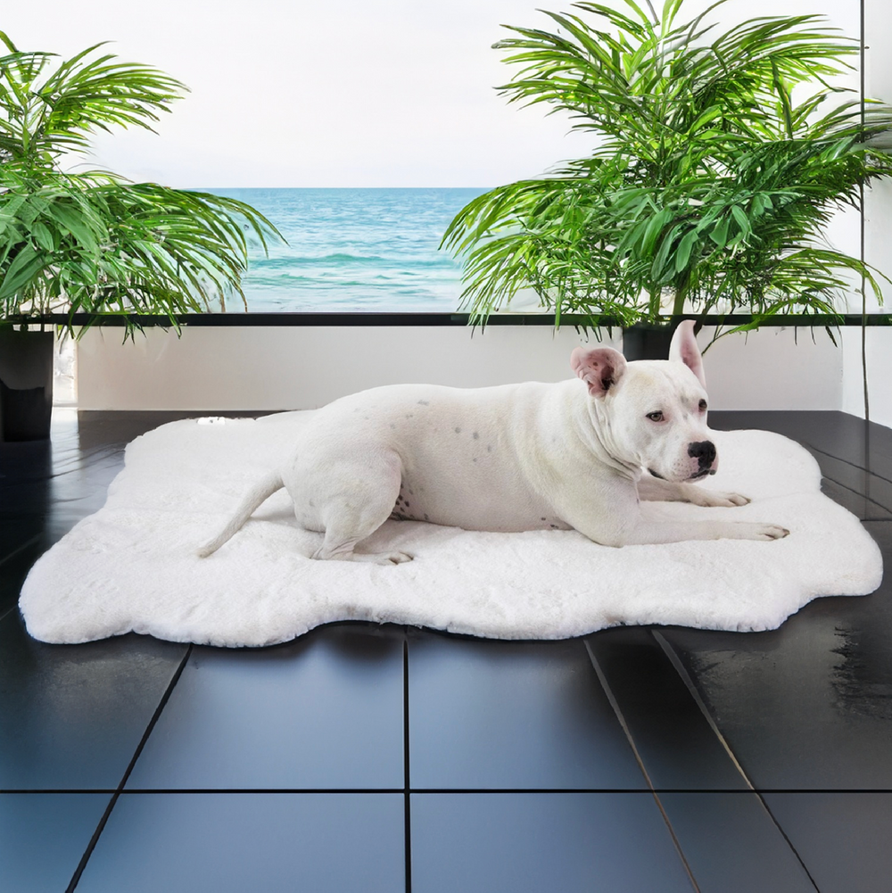 Ruby Puff® Ortho Companion-Pedic® Luxury Dog Bed Rug - Animals Matter, Inc.