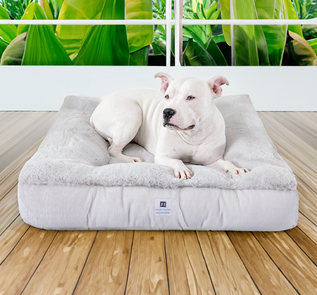 Ruby Puff® Square Ortho Companion-Pedic® Luxury Faux Fur Dog Bed - Animals Matter, Inc.