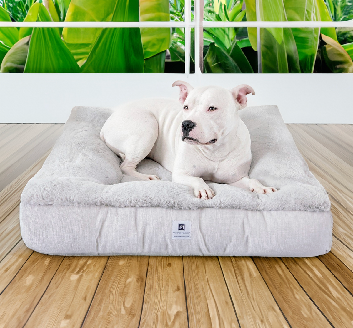 Large square dog sales bed
