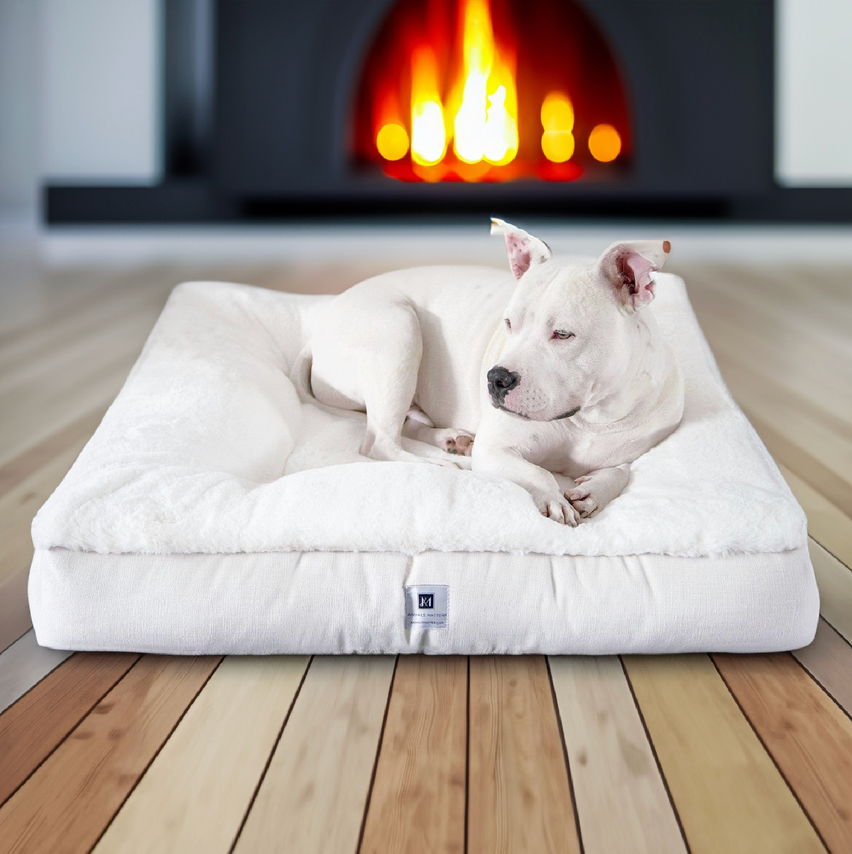 White sales dog bed