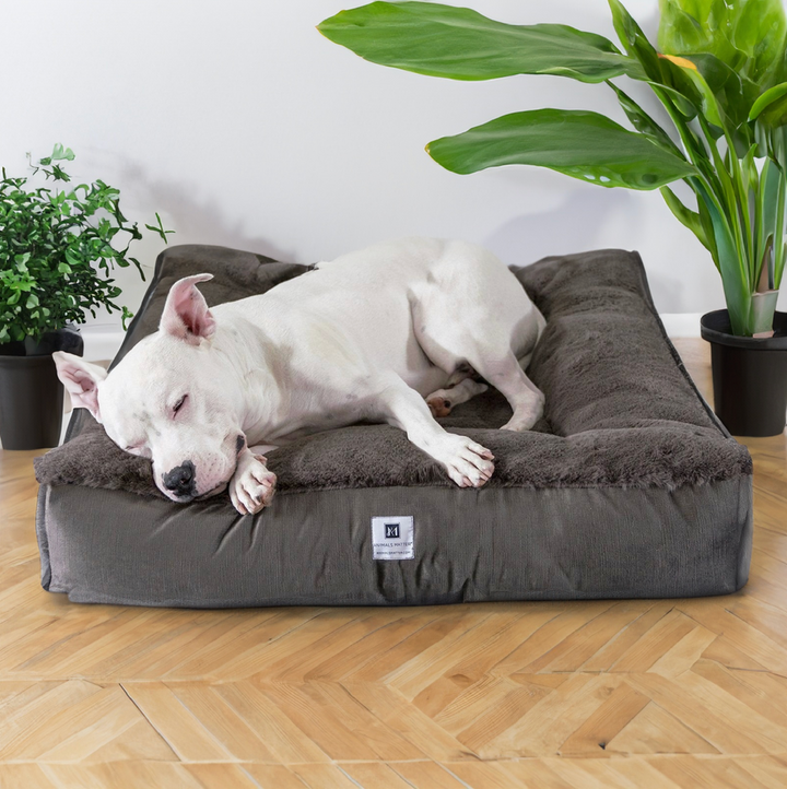 Ruby Puff™ Square Companion-Pedic® Luxury Faux Fur Dog Bed – Animals ...