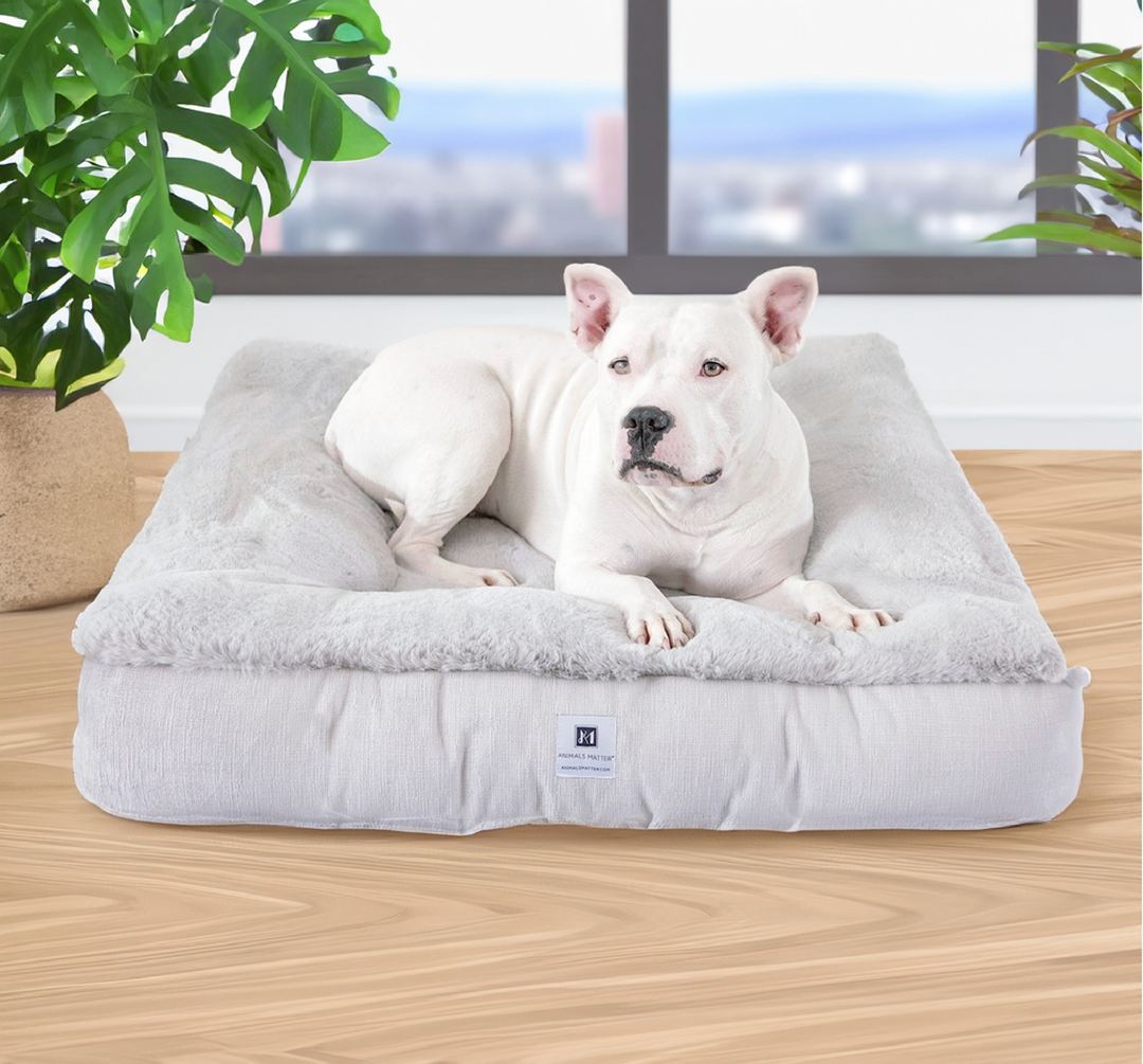 Ruby Puff® Square Ortho Companion-Pedic® Luxury Faux Fur Dog Bed - Animals Matter, Inc.