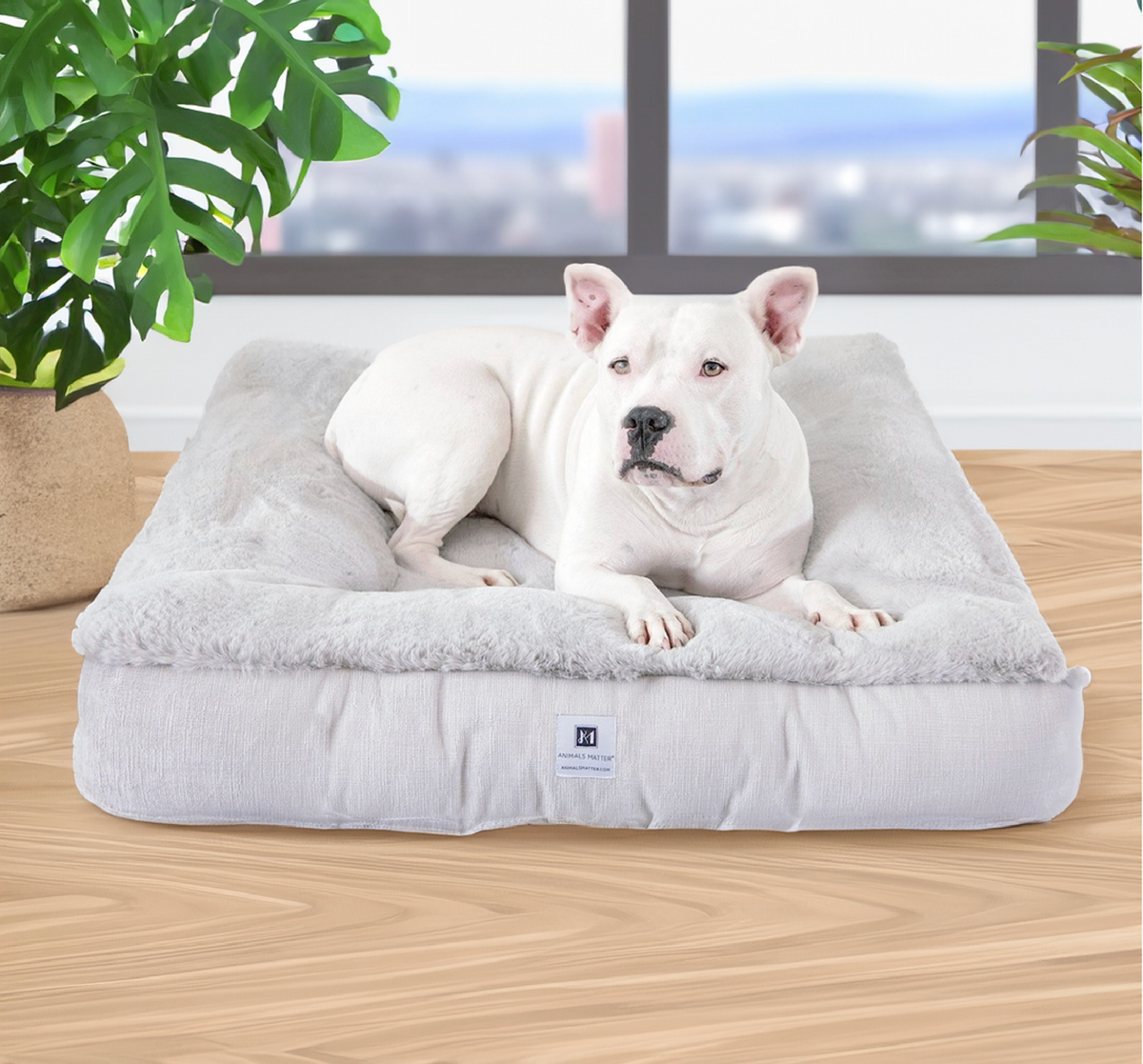 Ruby Puff Square Companion Pedic Luxury Faux Fur Dog Bed